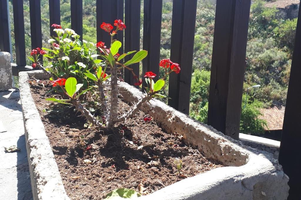 Villa Casa Tia Rosa. Costa Adeje  Esterno foto